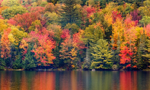 Il Canada riapre! Il foliage, alberi con i colori dell'autunno