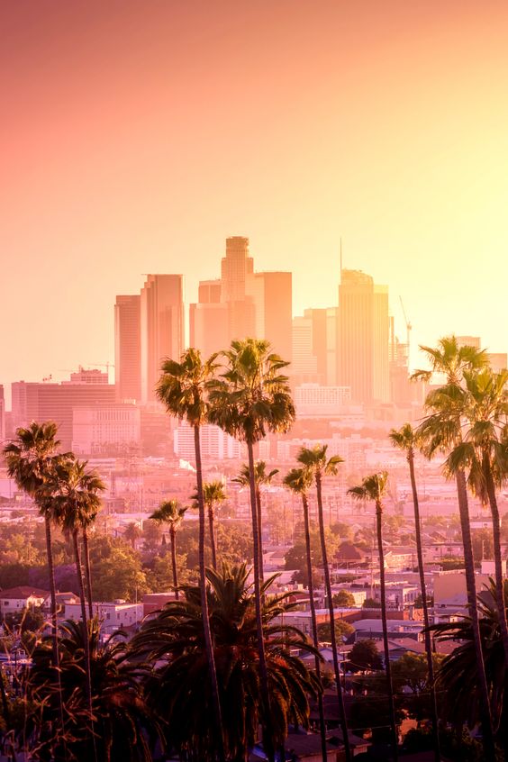 vista di LOs Angeles con palme e gratatcieli