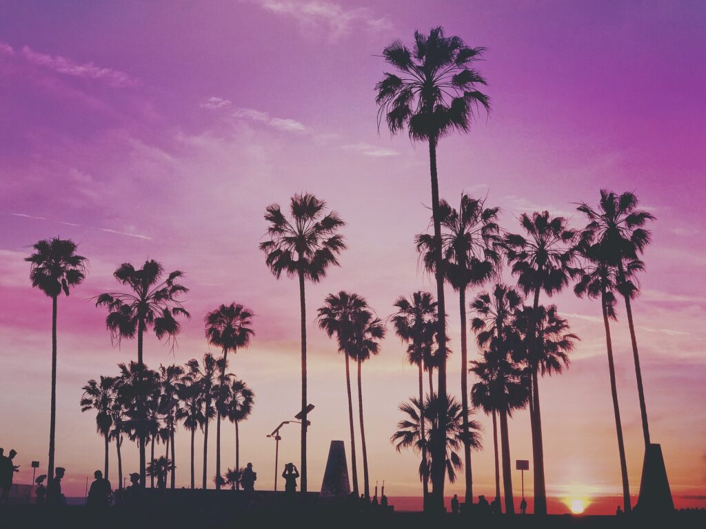 os Angeles, palme, tramonto