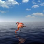 fenicotteri, mare Vacanze 2022 ai Caraibi: Repubblica Dominicana e Aruba!