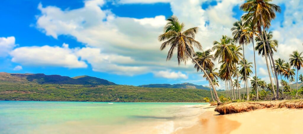 Mare caraibico con palmeti in vista e collinette sullo sfondo