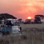 È tempo di Safari! Una jeep nella natura in Africa, al tramonto.