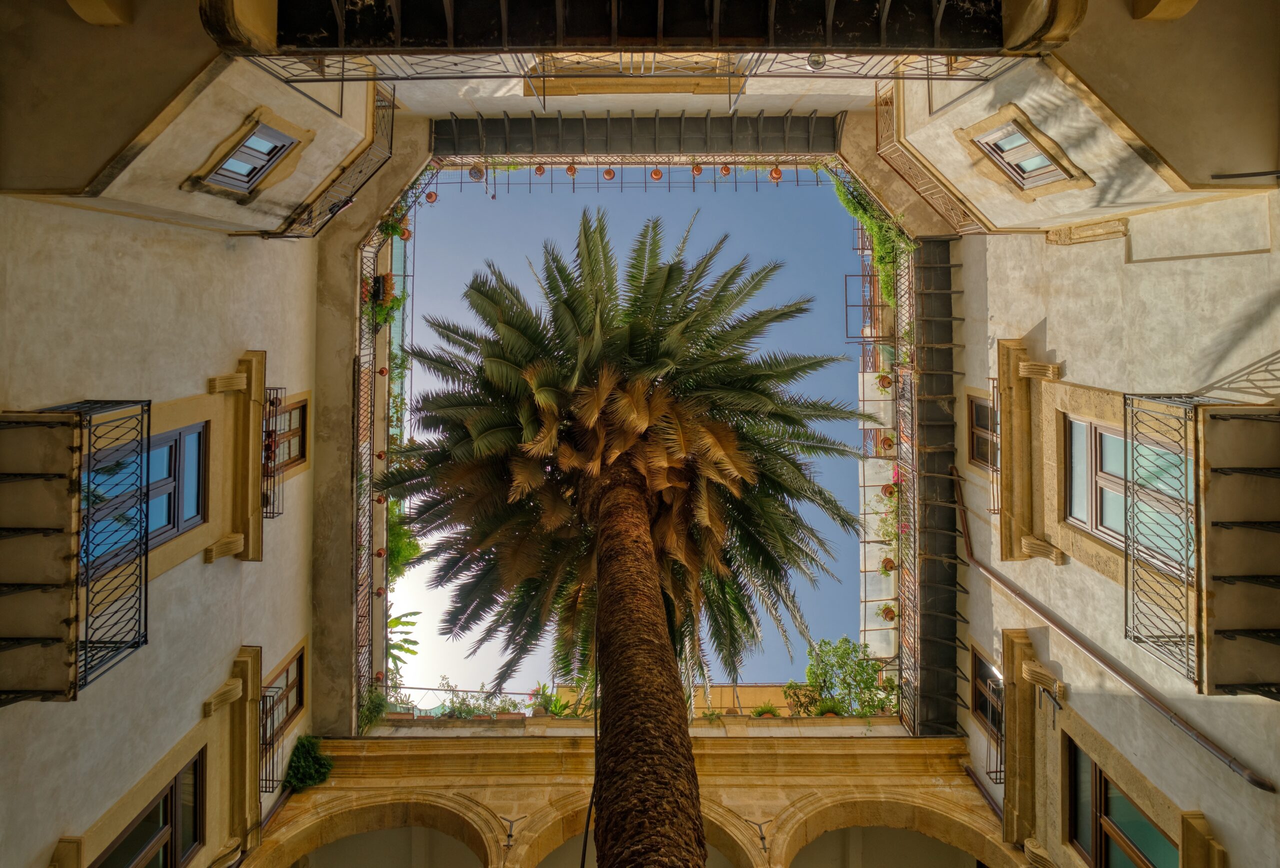 Gita a Palermo in giornata. Vista di una palma dal basso verso l'alto.
