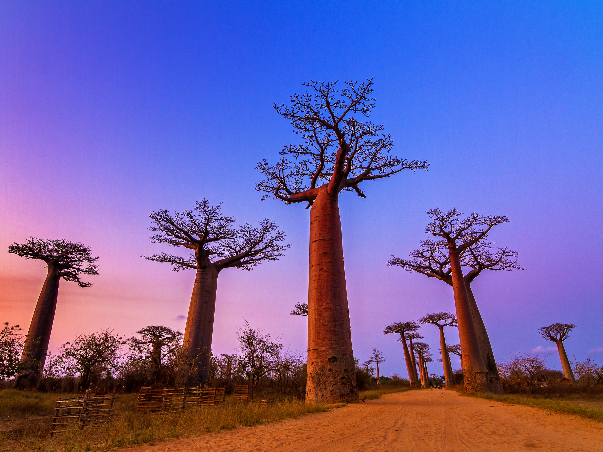 vacanza-in-madagascar