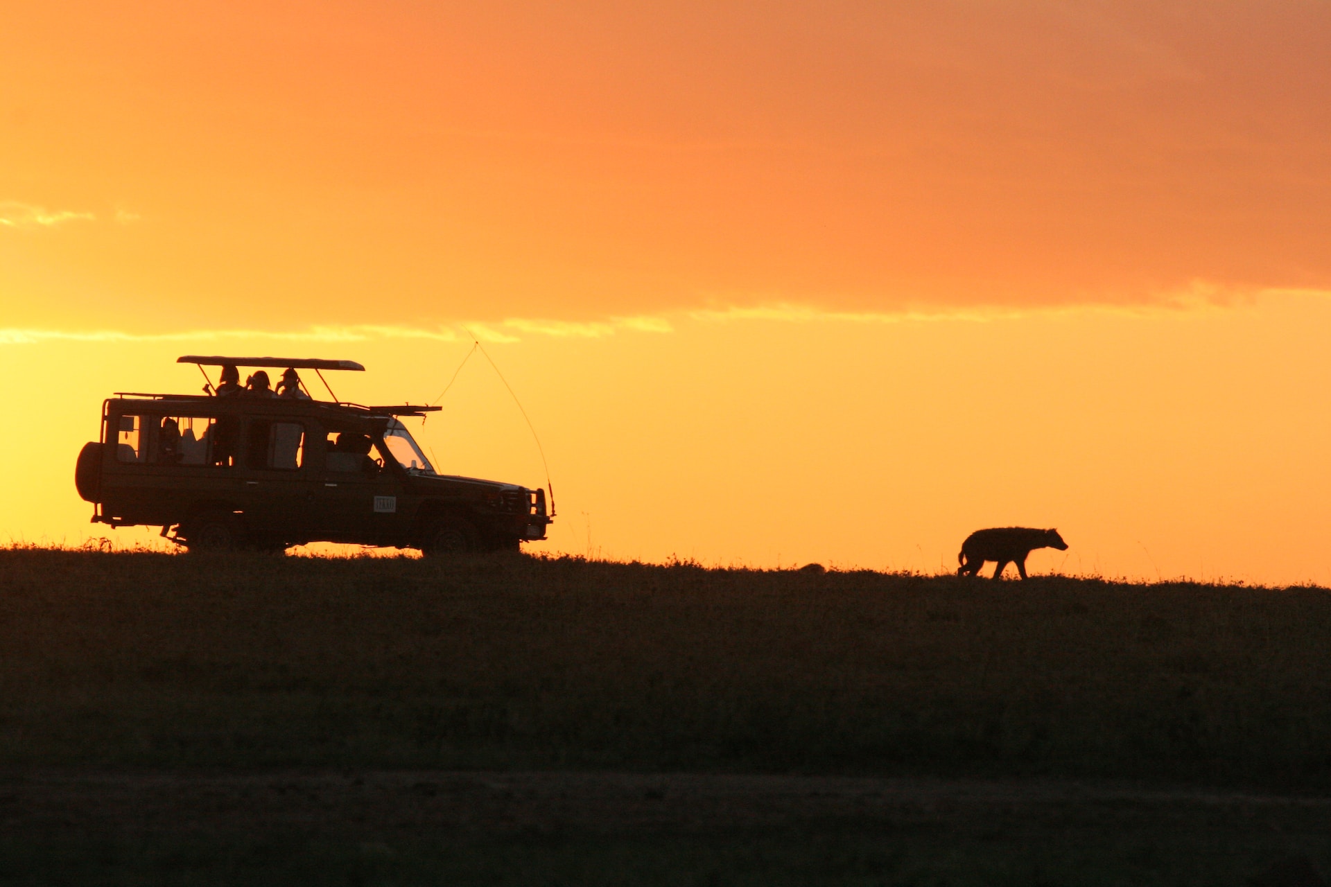 Safari nel Masai Mara 2023. Jeep al tramonto, kenya.