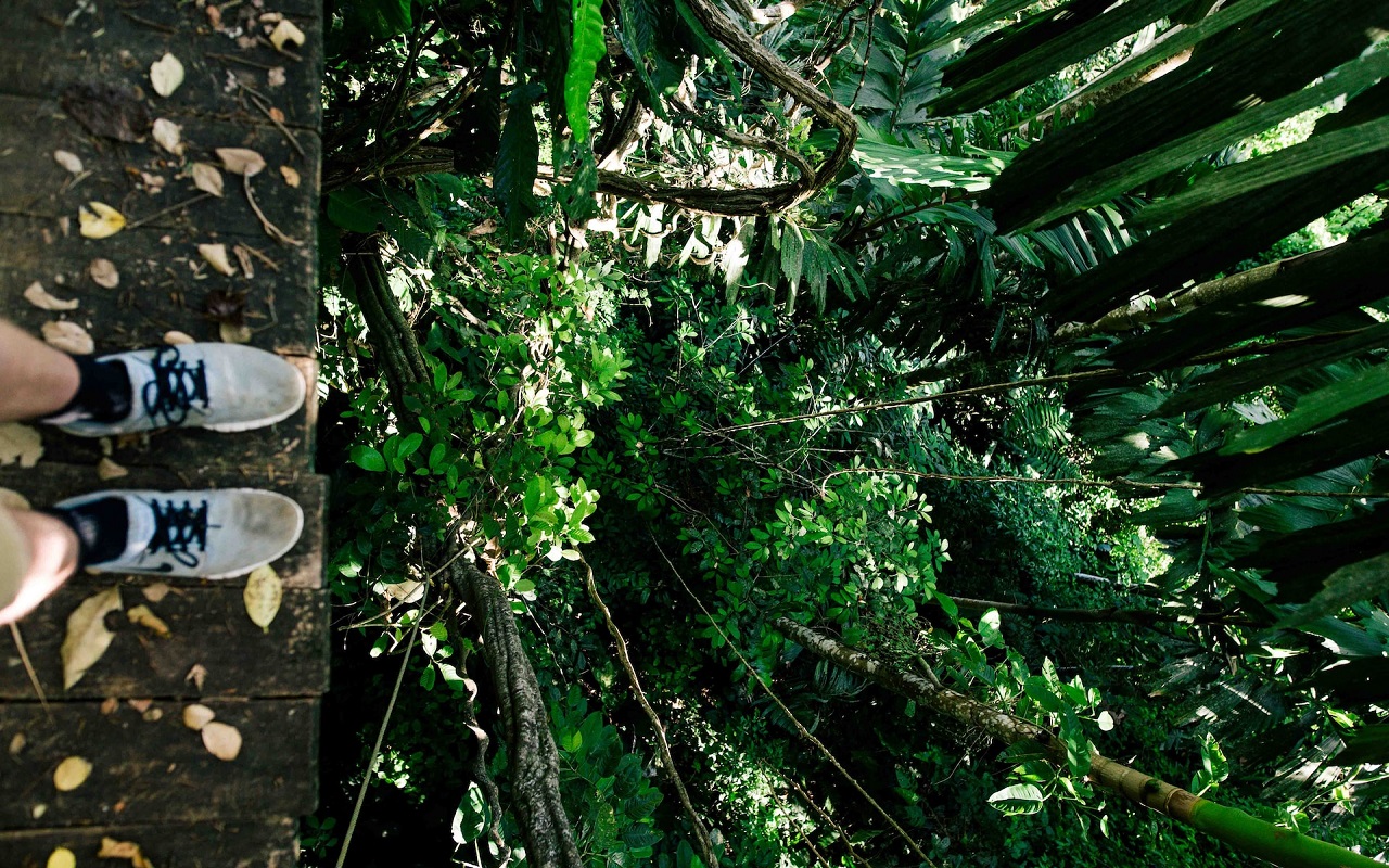 Migliore Zipline in Costa Rica. Piedi che stanno per lanciarsi sopra la foresta.