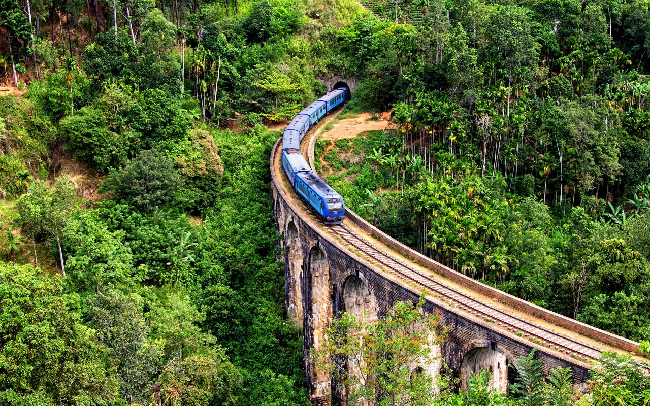 L'India in treno 2024. Treno blu su un ponte altissimo in mezzo al verde.