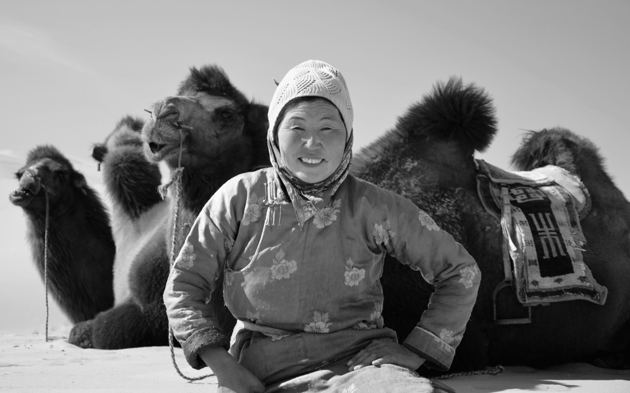 Viaggio in Mongolia 2024. Donna mongola in compagnia dei suoi cammelli.